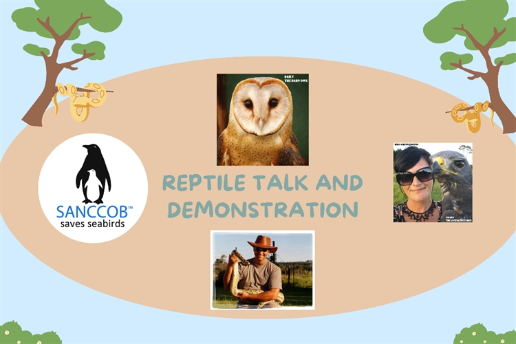 Reptile Talk and Demonstration